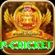 2022 world cup cricket Gold v1.3.0