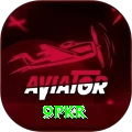 9pkr Pro Max vv4.3.6