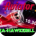 antigua hawksbill Plus Pro v5.9.7