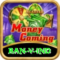 ban v ind Pro Edition v2.9.5