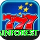 barun valley rainforest Gold v4.4.4