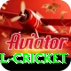 bbl cricket Pro v2.1.3