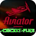 bbl cricket Deluxe Casino App