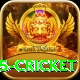 bet365 cricket Premium Plus v2.4.3