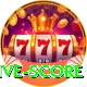big bash live score Elite v5.7.8