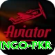 Bingo PKR Master Pro v3.6.7