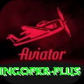 bingopkr Plus Pro v3.9.0