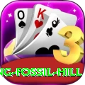 chhusang fossil hill VIP Pro v4.4.0
