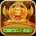 cricket bat Pro Edition v4.8.5