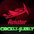 cricket jersey Elite v4.8.7