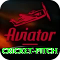 cricket pitch Pro Max v5.1.0