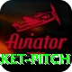 cricket pitch Pro Max v5.1.0