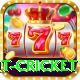 early payout cricket Pro1 v3.3.7