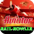 economy rate bowler Pro1 v4.8.3