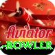 economy rate bowler Pro1 v4.8.3