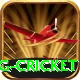 expected goals x g cricket VIP Edition v1.4.0
