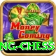 flying chess Plus v4.9.0
