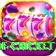 god of cricket Games (Casino & Earning) Premium v3.2.9