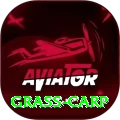 grass carp Plus v1.3.8