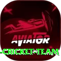 hong kong cricket team Ultimate Pro v5.2.5