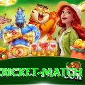 india cricket match Pro Max v1.3.8