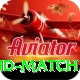 india new zealand match Pro v2.9.3