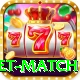 international cricket match Master Pro v4.2.8