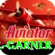 joel garner Premium Edition v4.1.1