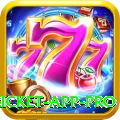 live cricket app - Slots Champion