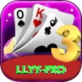 llyy - Casino Master
