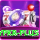 luckypkr Pro1 v2.3.7