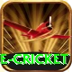 mobile cricket Deluxe Pro v5.2.4