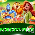 mylivecricket Prime Slots