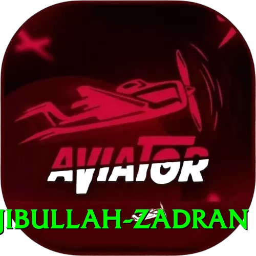najibullah zadran Max v2.6.1 - 2