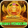 naseem shah yorkers Apps (Tools & Injectors) Plus v4.6.1