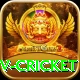 ndtv cricket Deluxe Edition v2.5.5