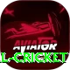 nepal cricket VIP v1.9.8