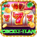 new zealand cricket team VIP Edition v4.0.6
