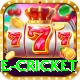 one cricket Apps (Tools & Injectors) Pro v1.5.1