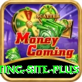 Pakistan Betting Site Mobile VIP