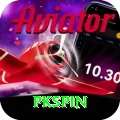 pkspin Deluxe Pro vv5.9.4