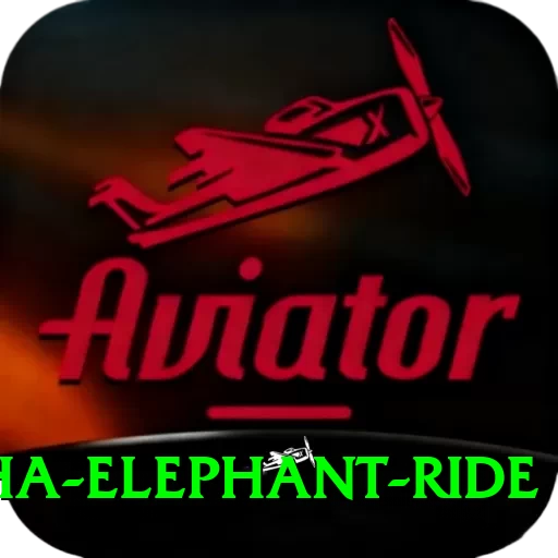 sauraha elephant ride Premium Plus v4.1.4 - 2