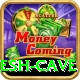 siddhi ganesh cave Plus Edition v3.2.1