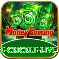 smart cricket live Pro v4.1.0