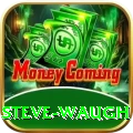 steve waugh Max Pro v2.8.3