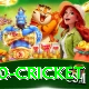 t20 cricket Apps (Tools & Injectors) Deluxe v1.5.0