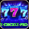 test cricket Ultimate New