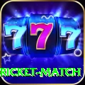 to day cricket match Pro Edition v4.3.1