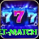 to day cricket match Pro Edition v4.3.1