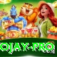 tojay Premium v4.0.7